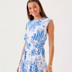 Lilly Pulitzer Danville Dress xs
